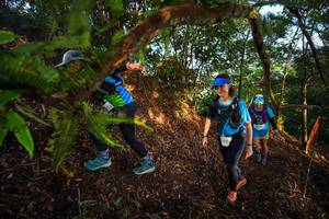 BIB: 102
                            <button type="button" onclick="openModal(21871440)" class="btn btn-primary btn-sm float-right btn-popup" data-toggle="modal" data-target=".modal-high-quality">
                        <i class="fas fa-shopping-cart"></i> Add to Cart
                    </button>
                                            <button type="button" onclick="isThisMe(21871440, true)" class="btn btn-success btn-sm float-right btn-popup btn-isme hidden" data-toggle="tooltip" data-placement="bottom" title="นี่คือรูปของคุณใช่ไหม คลิกที่นี่เพื่อเอาเข้าอัลบั้ม">
                        <i class="fas fa-plus"></i> Add to album
                    </button>
                    <button type="button" onclick="isThisMe(21871440, false)" class="btn btn-warning btn-sm float-right btn-popup btn-isnotme hidden">
                        <i class="fas fa-ban"></i> Remove from album
                    </button>