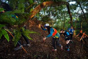 BIB: 
                            <button type="button" onclick="openModal(21869375)" class="btn btn-primary btn-sm float-right btn-popup" data-toggle="modal" data-target=".modal-high-quality">
                        <i class="fas fa-shopping-cart"></i> Add to Cart
                    </button>
                                            <button type="button" onclick="isThisMe(21869375, true)" class="btn btn-success btn-sm float-right btn-popup btn-isme hidden" data-toggle="tooltip" data-placement="bottom" title="นี่คือรูปของคุณใช่ไหม คลิกที่นี่เพื่อเอาเข้าอัลบั้ม">
                        <i class="fas fa-plus"></i> Add to album
                    </button>
                    <button type="button" onclick="isThisMe(21869375, false)" class="btn btn-warning btn-sm float-right btn-popup btn-isnotme hidden">
                        <i class="fas fa-ban"></i> Remove from album
                    </button>