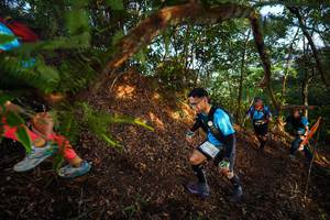 BIB: 2045
                            <button type="button" onclick="openModal(21871569)" class="btn btn-primary btn-sm float-right btn-popup" data-toggle="modal" data-target=".modal-high-quality">
                        <i class="fas fa-shopping-cart"></i> Add to Cart
                    </button>
                                            <button type="button" onclick="isThisMe(21871569, true)" class="btn btn-success btn-sm float-right btn-popup btn-isme hidden" data-toggle="tooltip" data-placement="bottom" title="นี่คือรูปของคุณใช่ไหม คลิกที่นี่เพื่อเอาเข้าอัลบั้ม">
                        <i class="fas fa-plus"></i> Add to album
                    </button>
                    <button type="button" onclick="isThisMe(21871569, false)" class="btn btn-warning btn-sm float-right btn-popup btn-isnotme hidden">
                        <i class="fas fa-ban"></i> Remove from album
                    </button>