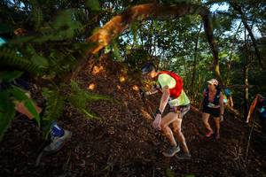 BIB: 
                            <button type="button" onclick="openModal(21870280)" class="btn btn-primary btn-sm float-right btn-popup" data-toggle="modal" data-target=".modal-high-quality">
                        <i class="fas fa-shopping-cart"></i> Add to Cart
                    </button>
                                            <button type="button" onclick="isThisMe(21870280, true)" class="btn btn-success btn-sm float-right btn-popup btn-isme hidden" data-toggle="tooltip" data-placement="bottom" title="นี่คือรูปของคุณใช่ไหม คลิกที่นี่เพื่อเอาเข้าอัลบั้ม">
                        <i class="fas fa-plus"></i> Add to album
                    </button>
                    <button type="button" onclick="isThisMe(21870280, false)" class="btn btn-warning btn-sm float-right btn-popup btn-isnotme hidden">
                        <i class="fas fa-ban"></i> Remove from album
                    </button>