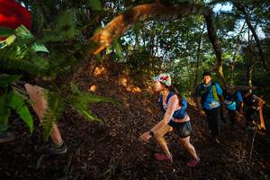 BIB: 
                            <button type="button" onclick="openModal(21870283)" class="btn btn-primary btn-sm float-right btn-popup" data-toggle="modal" data-target=".modal-high-quality">
                        <i class="fas fa-shopping-cart"></i> Add to Cart
                    </button>
                                            <button type="button" onclick="isThisMe(21870283, true)" class="btn btn-success btn-sm float-right btn-popup btn-isme hidden" data-toggle="tooltip" data-placement="bottom" title="นี่คือรูปของคุณใช่ไหม คลิกที่นี่เพื่อเอาเข้าอัลบั้ม">
                        <i class="fas fa-plus"></i> Add to album
                    </button>
                    <button type="button" onclick="isThisMe(21870283, false)" class="btn btn-warning btn-sm float-right btn-popup btn-isnotme hidden">
                        <i class="fas fa-ban"></i> Remove from album
                    </button>