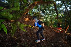 BIB: 
                            <button type="button" onclick="openModal(21871498)" class="btn btn-primary btn-sm float-right btn-popup" data-toggle="modal" data-target=".modal-high-quality">
                        <i class="fas fa-shopping-cart"></i> Add to Cart
                    </button>
                                            <button type="button" onclick="isThisMe(21871498, true)" class="btn btn-success btn-sm float-right btn-popup btn-isme hidden" data-toggle="tooltip" data-placement="bottom" title="นี่คือรูปของคุณใช่ไหม คลิกที่นี่เพื่อเอาเข้าอัลบั้ม">
                        <i class="fas fa-plus"></i> Add to album
                    </button>
                    <button type="button" onclick="isThisMe(21871498, false)" class="btn btn-warning btn-sm float-right btn-popup btn-isnotme hidden">
                        <i class="fas fa-ban"></i> Remove from album
                    </button>