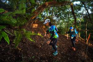 BIB: 
                            <button type="button" onclick="openModal(21871429)" class="btn btn-primary btn-sm float-right btn-popup" data-toggle="modal" data-target=".modal-high-quality">
                        <i class="fas fa-shopping-cart"></i> Add to Cart
                    </button>
                                            <button type="button" onclick="isThisMe(21871429, true)" class="btn btn-success btn-sm float-right btn-popup btn-isme hidden" data-toggle="tooltip" data-placement="bottom" title="นี่คือรูปของคุณใช่ไหม คลิกที่นี่เพื่อเอาเข้าอัลบั้ม">
                        <i class="fas fa-plus"></i> Add to album
                    </button>
                    <button type="button" onclick="isThisMe(21871429, false)" class="btn btn-warning btn-sm float-right btn-popup btn-isnotme hidden">
                        <i class="fas fa-ban"></i> Remove from album
                    </button>