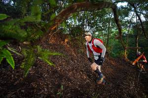 BIB: 
                            <button type="button" onclick="openModal(21867985)" class="btn btn-primary btn-sm float-right btn-popup" data-toggle="modal" data-target=".modal-high-quality">
                        <i class="fas fa-shopping-cart"></i> Add to Cart
                    </button>
                                            <button type="button" onclick="isThisMe(21867985, true)" class="btn btn-success btn-sm float-right btn-popup btn-isme hidden" data-toggle="tooltip" data-placement="bottom" title="นี่คือรูปของคุณใช่ไหม คลิกที่นี่เพื่อเอาเข้าอัลบั้ม">
                        <i class="fas fa-plus"></i> Add to album
                    </button>
                    <button type="button" onclick="isThisMe(21867985, false)" class="btn btn-warning btn-sm float-right btn-popup btn-isnotme hidden">
                        <i class="fas fa-ban"></i> Remove from album
                    </button>