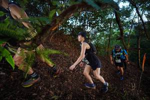 BIB: 
                            <button type="button" onclick="openModal(21866360)" class="btn btn-primary btn-sm float-right btn-popup" data-toggle="modal" data-target=".modal-high-quality">
                        <i class="fas fa-shopping-cart"></i> Add to Cart
                    </button>
                                            <button type="button" onclick="isThisMe(21866360, true)" class="btn btn-success btn-sm float-right btn-popup btn-isme hidden" data-toggle="tooltip" data-placement="bottom" title="นี่คือรูปของคุณใช่ไหม คลิกที่นี่เพื่อเอาเข้าอัลบั้ม">
                        <i class="fas fa-plus"></i> Add to album
                    </button>
                    <button type="button" onclick="isThisMe(21866360, false)" class="btn btn-warning btn-sm float-right btn-popup btn-isnotme hidden">
                        <i class="fas fa-ban"></i> Remove from album
                    </button>