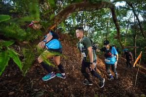 BIB: 
                            <button type="button" onclick="openModal(21879315)" class="btn btn-primary btn-sm float-right btn-popup" data-toggle="modal" data-target=".modal-high-quality">
                        <i class="fas fa-shopping-cart"></i> Add to Cart
                    </button>
                                            <button type="button" onclick="isThisMe(21879315, true)" class="btn btn-success btn-sm float-right btn-popup btn-isme hidden" data-toggle="tooltip" data-placement="bottom" title="นี่คือรูปของคุณใช่ไหม คลิกที่นี่เพื่อเอาเข้าอัลบั้ม">
                        <i class="fas fa-plus"></i> Add to album
                    </button>
                    <button type="button" onclick="isThisMe(21879315, false)" class="btn btn-warning btn-sm float-right btn-popup btn-isnotme hidden">
                        <i class="fas fa-ban"></i> Remove from album
                    </button>