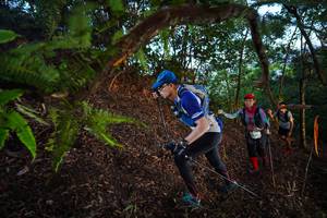 BIB: 
                            <button type="button" onclick="openModal(21867270)" class="btn btn-primary btn-sm float-right btn-popup" data-toggle="modal" data-target=".modal-high-quality">
                        <i class="fas fa-shopping-cart"></i> Add to Cart
                    </button>
                                            <button type="button" onclick="isThisMe(21867270, true)" class="btn btn-success btn-sm float-right btn-popup btn-isme hidden" data-toggle="tooltip" data-placement="bottom" title="นี่คือรูปของคุณใช่ไหม คลิกที่นี่เพื่อเอาเข้าอัลบั้ม">
                        <i class="fas fa-plus"></i> Add to album
                    </button>
                    <button type="button" onclick="isThisMe(21867270, false)" class="btn btn-warning btn-sm float-right btn-popup btn-isnotme hidden">
                        <i class="fas fa-ban"></i> Remove from album
                    </button>