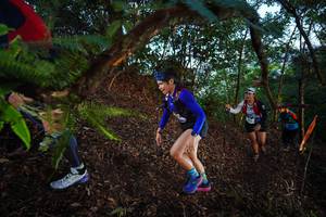 BIB: 
                            <button type="button" onclick="openModal(21866407)" class="btn btn-primary btn-sm float-right btn-popup" data-toggle="modal" data-target=".modal-high-quality">
                        <i class="fas fa-shopping-cart"></i> Add to Cart
                    </button>
                                            <button type="button" onclick="isThisMe(21866407, true)" class="btn btn-success btn-sm float-right btn-popup btn-isme hidden" data-toggle="tooltip" data-placement="bottom" title="นี่คือรูปของคุณใช่ไหม คลิกที่นี่เพื่อเอาเข้าอัลบั้ม">
                        <i class="fas fa-plus"></i> Add to album
                    </button>
                    <button type="button" onclick="isThisMe(21866407, false)" class="btn btn-warning btn-sm float-right btn-popup btn-isnotme hidden">
                        <i class="fas fa-ban"></i> Remove from album
                    </button>