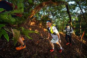 BIB: 
                            <button type="button" onclick="openModal(21870972)" class="btn btn-primary btn-sm float-right btn-popup" data-toggle="modal" data-target=".modal-high-quality">
                        <i class="fas fa-shopping-cart"></i> Add to Cart
                    </button>
                                            <button type="button" onclick="isThisMe(21870972, true)" class="btn btn-success btn-sm float-right btn-popup btn-isme hidden" data-toggle="tooltip" data-placement="bottom" title="นี่คือรูปของคุณใช่ไหม คลิกที่นี่เพื่อเอาเข้าอัลบั้ม">
                        <i class="fas fa-plus"></i> Add to album
                    </button>
                    <button type="button" onclick="isThisMe(21870972, false)" class="btn btn-warning btn-sm float-right btn-popup btn-isnotme hidden">
                        <i class="fas fa-ban"></i> Remove from album
                    </button>