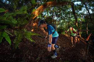 BIB: 
                            <button type="button" onclick="openModal(21870260)" class="btn btn-primary btn-sm float-right btn-popup" data-toggle="modal" data-target=".modal-high-quality">
                        <i class="fas fa-shopping-cart"></i> Add to Cart
                    </button>
                                            <button type="button" onclick="isThisMe(21870260, true)" class="btn btn-success btn-sm float-right btn-popup btn-isme hidden" data-toggle="tooltip" data-placement="bottom" title="นี่คือรูปของคุณใช่ไหม คลิกที่นี่เพื่อเอาเข้าอัลบั้ม">
                        <i class="fas fa-plus"></i> Add to album
                    </button>
                    <button type="button" onclick="isThisMe(21870260, false)" class="btn btn-warning btn-sm float-right btn-popup btn-isnotme hidden">
                        <i class="fas fa-ban"></i> Remove from album
                    </button>