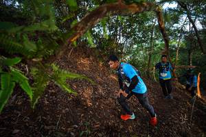 BIB: 
                            <button type="button" onclick="openModal(21877636)" class="btn btn-primary btn-sm float-right btn-popup" data-toggle="modal" data-target=".modal-high-quality">
                        <i class="fas fa-shopping-cart"></i> Add to Cart
                    </button>
                                            <button type="button" onclick="isThisMe(21877636, true)" class="btn btn-success btn-sm float-right btn-popup btn-isme hidden" data-toggle="tooltip" data-placement="bottom" title="นี่คือรูปของคุณใช่ไหม คลิกที่นี่เพื่อเอาเข้าอัลบั้ม">
                        <i class="fas fa-plus"></i> Add to album
                    </button>
                    <button type="button" onclick="isThisMe(21877636, false)" class="btn btn-warning btn-sm float-right btn-popup btn-isnotme hidden">
                        <i class="fas fa-ban"></i> Remove from album
                    </button>