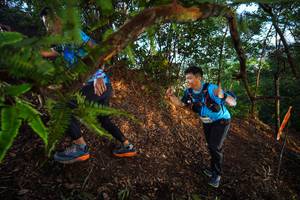 BIB: 
                            <button type="button" onclick="openModal(21873434)" class="btn btn-primary btn-sm float-right btn-popup" data-toggle="modal" data-target=".modal-high-quality">
                        <i class="fas fa-shopping-cart"></i> Add to Cart
                    </button>
                                            <button type="button" onclick="isThisMe(21873434, true)" class="btn btn-success btn-sm float-right btn-popup btn-isme hidden" data-toggle="tooltip" data-placement="bottom" title="นี่คือรูปของคุณใช่ไหม คลิกที่นี่เพื่อเอาเข้าอัลบั้ม">
                        <i class="fas fa-plus"></i> Add to album
                    </button>
                    <button type="button" onclick="isThisMe(21873434, false)" class="btn btn-warning btn-sm float-right btn-popup btn-isnotme hidden">
                        <i class="fas fa-ban"></i> Remove from album
                    </button>