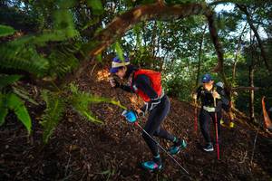 BIB: 
                            <button type="button" onclick="openModal(21871681)" class="btn btn-primary btn-sm float-right btn-popup" data-toggle="modal" data-target=".modal-high-quality">
                        <i class="fas fa-shopping-cart"></i> Add to Cart
                    </button>
                                            <button type="button" onclick="isThisMe(21871681, true)" class="btn btn-success btn-sm float-right btn-popup btn-isme hidden" data-toggle="tooltip" data-placement="bottom" title="นี่คือรูปของคุณใช่ไหม คลิกที่นี่เพื่อเอาเข้าอัลบั้ม">
                        <i class="fas fa-plus"></i> Add to album
                    </button>
                    <button type="button" onclick="isThisMe(21871681, false)" class="btn btn-warning btn-sm float-right btn-popup btn-isnotme hidden">
                        <i class="fas fa-ban"></i> Remove from album
                    </button>