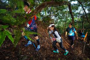 BIB: 
                            <button type="button" onclick="openModal(21879015)" class="btn btn-primary btn-sm float-right btn-popup" data-toggle="modal" data-target=".modal-high-quality">
                        <i class="fas fa-shopping-cart"></i> Add to Cart
                    </button>
                                            <button type="button" onclick="isThisMe(21879015, true)" class="btn btn-success btn-sm float-right btn-popup btn-isme hidden" data-toggle="tooltip" data-placement="bottom" title="นี่คือรูปของคุณใช่ไหม คลิกที่นี่เพื่อเอาเข้าอัลบั้ม">
                        <i class="fas fa-plus"></i> Add to album
                    </button>
                    <button type="button" onclick="isThisMe(21879015, false)" class="btn btn-warning btn-sm float-right btn-popup btn-isnotme hidden">
                        <i class="fas fa-ban"></i> Remove from album
                    </button>