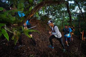 BIB: 
                            <button type="button" onclick="openModal(21866506)" class="btn btn-primary btn-sm float-right btn-popup" data-toggle="modal" data-target=".modal-high-quality">
                        <i class="fas fa-shopping-cart"></i> Add to Cart
                    </button>
                                            <button type="button" onclick="isThisMe(21866506, true)" class="btn btn-success btn-sm float-right btn-popup btn-isme hidden" data-toggle="tooltip" data-placement="bottom" title="นี่คือรูปของคุณใช่ไหม คลิกที่นี่เพื่อเอาเข้าอัลบั้ม">
                        <i class="fas fa-plus"></i> Add to album
                    </button>
                    <button type="button" onclick="isThisMe(21866506, false)" class="btn btn-warning btn-sm float-right btn-popup btn-isnotme hidden">
                        <i class="fas fa-ban"></i> Remove from album
                    </button>