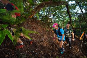 BIB: 
                            <button type="button" onclick="openModal(21879218)" class="btn btn-primary btn-sm float-right btn-popup" data-toggle="modal" data-target=".modal-high-quality">
                        <i class="fas fa-shopping-cart"></i> Add to Cart
                    </button>
                                            <button type="button" onclick="isThisMe(21879218, true)" class="btn btn-success btn-sm float-right btn-popup btn-isme hidden" data-toggle="tooltip" data-placement="bottom" title="นี่คือรูปของคุณใช่ไหม คลิกที่นี่เพื่อเอาเข้าอัลบั้ม">
                        <i class="fas fa-plus"></i> Add to album
                    </button>
                    <button type="button" onclick="isThisMe(21879218, false)" class="btn btn-warning btn-sm float-right btn-popup btn-isnotme hidden">
                        <i class="fas fa-ban"></i> Remove from album
                    </button>