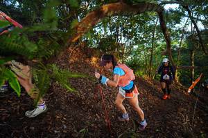 BIB: 
                            <button type="button" onclick="openModal(21868891)" class="btn btn-primary btn-sm float-right btn-popup" data-toggle="modal" data-target=".modal-high-quality">
                        <i class="fas fa-shopping-cart"></i> Add to Cart
                    </button>
                                            <button type="button" onclick="isThisMe(21868891, true)" class="btn btn-success btn-sm float-right btn-popup btn-isme hidden" data-toggle="tooltip" data-placement="bottom" title="นี่คือรูปของคุณใช่ไหม คลิกที่นี่เพื่อเอาเข้าอัลบั้ม">
                        <i class="fas fa-plus"></i> Add to album
                    </button>
                    <button type="button" onclick="isThisMe(21868891, false)" class="btn btn-warning btn-sm float-right btn-popup btn-isnotme hidden">
                        <i class="fas fa-ban"></i> Remove from album
                    </button>