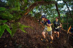 BIB: 
                            <button type="button" onclick="openModal(21877804)" class="btn btn-primary btn-sm float-right btn-popup" data-toggle="modal" data-target=".modal-high-quality">
                        <i class="fas fa-shopping-cart"></i> Add to Cart
                    </button>
                                            <button type="button" onclick="isThisMe(21877804, true)" class="btn btn-success btn-sm float-right btn-popup btn-isme hidden" data-toggle="tooltip" data-placement="bottom" title="นี่คือรูปของคุณใช่ไหม คลิกที่นี่เพื่อเอาเข้าอัลบั้ม">
                        <i class="fas fa-plus"></i> Add to album
                    </button>
                    <button type="button" onclick="isThisMe(21877804, false)" class="btn btn-warning btn-sm float-right btn-popup btn-isnotme hidden">
                        <i class="fas fa-ban"></i> Remove from album
                    </button>