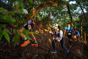 BIB: 
                            <button type="button" onclick="openModal(21871018)" class="btn btn-primary btn-sm float-right btn-popup" data-toggle="modal" data-target=".modal-high-quality">
                        <i class="fas fa-shopping-cart"></i> Add to Cart
                    </button>
                                            <button type="button" onclick="isThisMe(21871018, true)" class="btn btn-success btn-sm float-right btn-popup btn-isme hidden" data-toggle="tooltip" data-placement="bottom" title="นี่คือรูปของคุณใช่ไหม คลิกที่นี่เพื่อเอาเข้าอัลบั้ม">
                        <i class="fas fa-plus"></i> Add to album
                    </button>
                    <button type="button" onclick="isThisMe(21871018, false)" class="btn btn-warning btn-sm float-right btn-popup btn-isnotme hidden">
                        <i class="fas fa-ban"></i> Remove from album
                    </button>