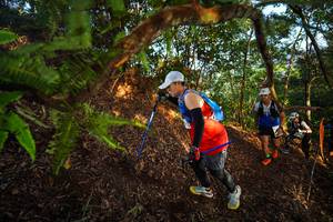 BIB: 
                            <button type="button" onclick="openModal(21871007)" class="btn btn-primary btn-sm float-right btn-popup" data-toggle="modal" data-target=".modal-high-quality">
                        <i class="fas fa-shopping-cart"></i> Add to Cart
                    </button>
                                            <button type="button" onclick="isThisMe(21871007, true)" class="btn btn-success btn-sm float-right btn-popup btn-isme hidden" data-toggle="tooltip" data-placement="bottom" title="นี่คือรูปของคุณใช่ไหม คลิกที่นี่เพื่อเอาเข้าอัลบั้ม">
                        <i class="fas fa-plus"></i> Add to album
                    </button>
                    <button type="button" onclick="isThisMe(21871007, false)" class="btn btn-warning btn-sm float-right btn-popup btn-isnotme hidden">
                        <i class="fas fa-ban"></i> Remove from album
                    </button>