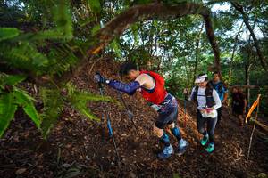 BIB: 
                            <button type="button" onclick="openModal(21878936)" class="btn btn-primary btn-sm float-right btn-popup" data-toggle="modal" data-target=".modal-high-quality">
                        <i class="fas fa-shopping-cart"></i> Add to Cart
                    </button>
                                            <button type="button" onclick="isThisMe(21878936, true)" class="btn btn-success btn-sm float-right btn-popup btn-isme hidden" data-toggle="tooltip" data-placement="bottom" title="นี่คือรูปของคุณใช่ไหม คลิกที่นี่เพื่อเอาเข้าอัลบั้ม">
                        <i class="fas fa-plus"></i> Add to album
                    </button>
                    <button type="button" onclick="isThisMe(21878936, false)" class="btn btn-warning btn-sm float-right btn-popup btn-isnotme hidden">
                        <i class="fas fa-ban"></i> Remove from album
                    </button>