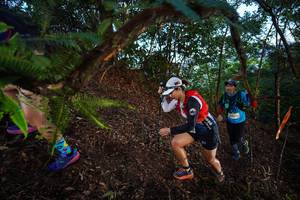 BIB: 
                            <button type="button" onclick="openModal(21866419)" class="btn btn-primary btn-sm float-right btn-popup" data-toggle="modal" data-target=".modal-high-quality">
                        <i class="fas fa-shopping-cart"></i> Add to Cart
                    </button>
                                            <button type="button" onclick="isThisMe(21866419, true)" class="btn btn-success btn-sm float-right btn-popup btn-isme hidden" data-toggle="tooltip" data-placement="bottom" title="นี่คือรูปของคุณใช่ไหม คลิกที่นี่เพื่อเอาเข้าอัลบั้ม">
                        <i class="fas fa-plus"></i> Add to album
                    </button>
                    <button type="button" onclick="isThisMe(21866419, false)" class="btn btn-warning btn-sm float-right btn-popup btn-isnotme hidden">
                        <i class="fas fa-ban"></i> Remove from album
                    </button>