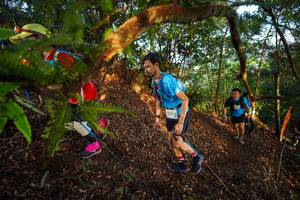 BIB: 
                            <button type="button" onclick="openModal(21870079)" class="btn btn-primary btn-sm float-right btn-popup" data-toggle="modal" data-target=".modal-high-quality">
                        <i class="fas fa-shopping-cart"></i> Add to Cart
                    </button>
                                            <button type="button" onclick="isThisMe(21870079, true)" class="btn btn-success btn-sm float-right btn-popup btn-isme hidden" data-toggle="tooltip" data-placement="bottom" title="นี่คือรูปของคุณใช่ไหม คลิกที่นี่เพื่อเอาเข้าอัลบั้ม">
                        <i class="fas fa-plus"></i> Add to album
                    </button>
                    <button type="button" onclick="isThisMe(21870079, false)" class="btn btn-warning btn-sm float-right btn-popup btn-isnotme hidden">
                        <i class="fas fa-ban"></i> Remove from album
                    </button>