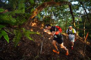 BIB: 
                            <button type="button" onclick="openModal(21870948)" class="btn btn-primary btn-sm float-right btn-popup" data-toggle="modal" data-target=".modal-high-quality">
                        <i class="fas fa-shopping-cart"></i> Add to Cart
                    </button>
                                            <button type="button" onclick="isThisMe(21870948, true)" class="btn btn-success btn-sm float-right btn-popup btn-isme hidden" data-toggle="tooltip" data-placement="bottom" title="นี่คือรูปของคุณใช่ไหม คลิกที่นี่เพื่อเอาเข้าอัลบั้ม">
                        <i class="fas fa-plus"></i> Add to album
                    </button>
                    <button type="button" onclick="isThisMe(21870948, false)" class="btn btn-warning btn-sm float-right btn-popup btn-isnotme hidden">
                        <i class="fas fa-ban"></i> Remove from album
                    </button>