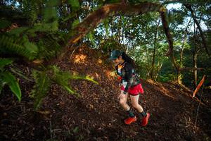 BIB: 
                            <button type="button" onclick="openModal(21871513)" class="btn btn-primary btn-sm float-right btn-popup" data-toggle="modal" data-target=".modal-high-quality">
                        <i class="fas fa-shopping-cart"></i> Add to Cart
                    </button>
                                            <button type="button" onclick="isThisMe(21871513, true)" class="btn btn-success btn-sm float-right btn-popup btn-isme hidden" data-toggle="tooltip" data-placement="bottom" title="นี่คือรูปของคุณใช่ไหม คลิกที่นี่เพื่อเอาเข้าอัลบั้ม">
                        <i class="fas fa-plus"></i> Add to album
                    </button>
                    <button type="button" onclick="isThisMe(21871513, false)" class="btn btn-warning btn-sm float-right btn-popup btn-isnotme hidden">
                        <i class="fas fa-ban"></i> Remove from album
                    </button>