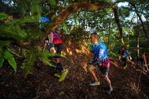 BIB: 
                            <button type="button" onclick="openModal(21871060)" class="btn btn-primary btn-sm float-right btn-popup" data-toggle="modal" data-target=".modal-high-quality">
                        <i class="fas fa-shopping-cart"></i> Add to Cart
                    </button>
                                            <button type="button" onclick="isThisMe(21871060, true)" class="btn btn-success btn-sm float-right btn-popup btn-isme hidden" data-toggle="tooltip" data-placement="bottom" title="นี่คือรูปของคุณใช่ไหม คลิกที่นี่เพื่อเอาเข้าอัลบั้ม">
                        <i class="fas fa-plus"></i> Add to album
                    </button>
                    <button type="button" onclick="isThisMe(21871060, false)" class="btn btn-warning btn-sm float-right btn-popup btn-isnotme hidden">
                        <i class="fas fa-ban"></i> Remove from album
                    </button>