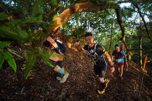 BIB: 
                            <button type="button" onclick="openModal(21870134)" class="btn btn-primary btn-sm float-right btn-popup" data-toggle="modal" data-target=".modal-high-quality">
                        <i class="fas fa-shopping-cart"></i> Add to Cart
                    </button>
                                            <button type="button" onclick="isThisMe(21870134, true)" class="btn btn-success btn-sm float-right btn-popup btn-isme hidden" data-toggle="tooltip" data-placement="bottom" title="นี่คือรูปของคุณใช่ไหม คลิกที่นี่เพื่อเอาเข้าอัลบั้ม">
                        <i class="fas fa-plus"></i> Add to album
                    </button>
                    <button type="button" onclick="isThisMe(21870134, false)" class="btn btn-warning btn-sm float-right btn-popup btn-isnotme hidden">
                        <i class="fas fa-ban"></i> Remove from album
                    </button>