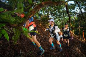 BIB: 1246
                            <button type="button" onclick="openModal(21871340)" class="btn btn-primary btn-sm float-right btn-popup" data-toggle="modal" data-target=".modal-high-quality">
                        <i class="fas fa-shopping-cart"></i> Add to Cart
                    </button>
                                            <button type="button" onclick="isThisMe(21871340, true)" class="btn btn-success btn-sm float-right btn-popup btn-isme hidden" data-toggle="tooltip" data-placement="bottom" title="นี่คือรูปของคุณใช่ไหม คลิกที่นี่เพื่อเอาเข้าอัลบั้ม">
                        <i class="fas fa-plus"></i> Add to album
                    </button>
                    <button type="button" onclick="isThisMe(21871340, false)" class="btn btn-warning btn-sm float-right btn-popup btn-isnotme hidden">
                        <i class="fas fa-ban"></i> Remove from album
                    </button>