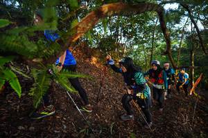 BIB: 
                            <button type="button" onclick="openModal(21869318)" class="btn btn-primary btn-sm float-right btn-popup" data-toggle="modal" data-target=".modal-high-quality">
                        <i class="fas fa-shopping-cart"></i> Add to Cart
                    </button>
                                            <button type="button" onclick="isThisMe(21869318, true)" class="btn btn-success btn-sm float-right btn-popup btn-isme hidden" data-toggle="tooltip" data-placement="bottom" title="นี่คือรูปของคุณใช่ไหม คลิกที่นี่เพื่อเอาเข้าอัลบั้ม">
                        <i class="fas fa-plus"></i> Add to album
                    </button>
                    <button type="button" onclick="isThisMe(21869318, false)" class="btn btn-warning btn-sm float-right btn-popup btn-isnotme hidden">
                        <i class="fas fa-ban"></i> Remove from album
                    </button>