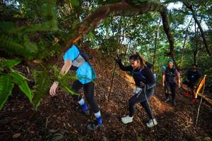 BIB: 
                            <button type="button" onclick="openModal(21879426)" class="btn btn-primary btn-sm float-right btn-popup" data-toggle="modal" data-target=".modal-high-quality">
                        <i class="fas fa-shopping-cart"></i> Add to Cart
                    </button>
                                            <button type="button" onclick="isThisMe(21879426, true)" class="btn btn-success btn-sm float-right btn-popup btn-isme hidden" data-toggle="tooltip" data-placement="bottom" title="นี่คือรูปของคุณใช่ไหม คลิกที่นี่เพื่อเอาเข้าอัลบั้ม">
                        <i class="fas fa-plus"></i> Add to album
                    </button>
                    <button type="button" onclick="isThisMe(21879426, false)" class="btn btn-warning btn-sm float-right btn-popup btn-isnotme hidden">
                        <i class="fas fa-ban"></i> Remove from album
                    </button>