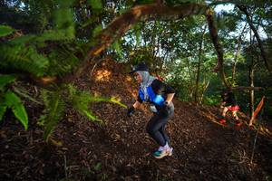 BIB: 
                            <button type="button" onclick="openModal(21871499)" class="btn btn-primary btn-sm float-right btn-popup" data-toggle="modal" data-target=".modal-high-quality">
                        <i class="fas fa-shopping-cart"></i> Add to Cart
                    </button>
                                            <button type="button" onclick="isThisMe(21871499, true)" class="btn btn-success btn-sm float-right btn-popup btn-isme hidden" data-toggle="tooltip" data-placement="bottom" title="นี่คือรูปของคุณใช่ไหม คลิกที่นี่เพื่อเอาเข้าอัลบั้ม">
                        <i class="fas fa-plus"></i> Add to album
                    </button>
                    <button type="button" onclick="isThisMe(21871499, false)" class="btn btn-warning btn-sm float-right btn-popup btn-isnotme hidden">
                        <i class="fas fa-ban"></i> Remove from album
                    </button>