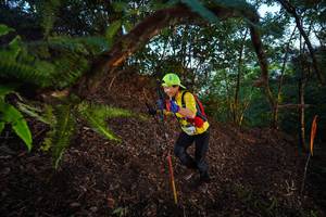 BIB: 
                            <button type="button" onclick="openModal(21866171)" class="btn btn-primary btn-sm float-right btn-popup" data-toggle="modal" data-target=".modal-high-quality">
                        <i class="fas fa-shopping-cart"></i> Add to Cart
                    </button>
                                            <button type="button" onclick="isThisMe(21866171, true)" class="btn btn-success btn-sm float-right btn-popup btn-isme hidden" data-toggle="tooltip" data-placement="bottom" title="นี่คือรูปของคุณใช่ไหม คลิกที่นี่เพื่อเอาเข้าอัลบั้ม">
                        <i class="fas fa-plus"></i> Add to album
                    </button>
                    <button type="button" onclick="isThisMe(21866171, false)" class="btn btn-warning btn-sm float-right btn-popup btn-isnotme hidden">
                        <i class="fas fa-ban"></i> Remove from album
                    </button>