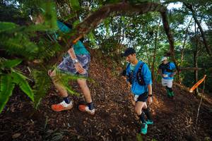 BIB: 
                            <button type="button" onclick="openModal(21878099)" class="btn btn-primary btn-sm float-right btn-popup" data-toggle="modal" data-target=".modal-high-quality">
                        <i class="fas fa-shopping-cart"></i> Add to Cart
                    </button>
                                            <button type="button" onclick="isThisMe(21878099, true)" class="btn btn-success btn-sm float-right btn-popup btn-isme hidden" data-toggle="tooltip" data-placement="bottom" title="นี่คือรูปของคุณใช่ไหม คลิกที่นี่เพื่อเอาเข้าอัลบั้ม">
                        <i class="fas fa-plus"></i> Add to album
                    </button>
                    <button type="button" onclick="isThisMe(21878099, false)" class="btn btn-warning btn-sm float-right btn-popup btn-isnotme hidden">
                        <i class="fas fa-ban"></i> Remove from album
                    </button>