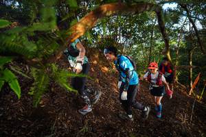 BIB: 
                            <button type="button" onclick="openModal(21870541)" class="btn btn-primary btn-sm float-right btn-popup" data-toggle="modal" data-target=".modal-high-quality">
                        <i class="fas fa-shopping-cart"></i> Add to Cart
                    </button>
                                            <button type="button" onclick="isThisMe(21870541, true)" class="btn btn-success btn-sm float-right btn-popup btn-isme hidden" data-toggle="tooltip" data-placement="bottom" title="นี่คือรูปของคุณใช่ไหม คลิกที่นี่เพื่อเอาเข้าอัลบั้ม">
                        <i class="fas fa-plus"></i> Add to album
                    </button>
                    <button type="button" onclick="isThisMe(21870541, false)" class="btn btn-warning btn-sm float-right btn-popup btn-isnotme hidden">
                        <i class="fas fa-ban"></i> Remove from album
                    </button>