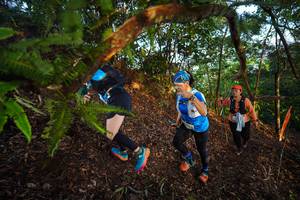 BIB: 
                            <button type="button" onclick="openModal(21869429)" class="btn btn-primary btn-sm float-right btn-popup" data-toggle="modal" data-target=".modal-high-quality">
                        <i class="fas fa-shopping-cart"></i> Add to Cart
                    </button>
                                            <button type="button" onclick="isThisMe(21869429, true)" class="btn btn-success btn-sm float-right btn-popup btn-isme hidden" data-toggle="tooltip" data-placement="bottom" title="นี่คือรูปของคุณใช่ไหม คลิกที่นี่เพื่อเอาเข้าอัลบั้ม">
                        <i class="fas fa-plus"></i> Add to album
                    </button>
                    <button type="button" onclick="isThisMe(21869429, false)" class="btn btn-warning btn-sm float-right btn-popup btn-isnotme hidden">
                        <i class="fas fa-ban"></i> Remove from album
                    </button>