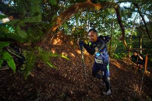 BIB: 
                            <button type="button" onclick="openModal(21871137)" class="btn btn-primary btn-sm float-right btn-popup" data-toggle="modal" data-target=".modal-high-quality">
                        <i class="fas fa-shopping-cart"></i> Add to Cart
                    </button>
                                            <button type="button" onclick="isThisMe(21871137, true)" class="btn btn-success btn-sm float-right btn-popup btn-isme hidden" data-toggle="tooltip" data-placement="bottom" title="นี่คือรูปของคุณใช่ไหม คลิกที่นี่เพื่อเอาเข้าอัลบั้ม">
                        <i class="fas fa-plus"></i> Add to album
                    </button>
                    <button type="button" onclick="isThisMe(21871137, false)" class="btn btn-warning btn-sm float-right btn-popup btn-isnotme hidden">
                        <i class="fas fa-ban"></i> Remove from album
                    </button>