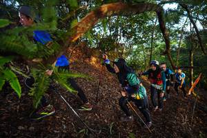 BIB: 
                            <button type="button" onclick="openModal(21869320)" class="btn btn-primary btn-sm float-right btn-popup" data-toggle="modal" data-target=".modal-high-quality">
                        <i class="fas fa-shopping-cart"></i> Add to Cart
                    </button>
                                            <button type="button" onclick="isThisMe(21869320, true)" class="btn btn-success btn-sm float-right btn-popup btn-isme hidden" data-toggle="tooltip" data-placement="bottom" title="นี่คือรูปของคุณใช่ไหม คลิกที่นี่เพื่อเอาเข้าอัลบั้ม">
                        <i class="fas fa-plus"></i> Add to album
                    </button>
                    <button type="button" onclick="isThisMe(21869320, false)" class="btn btn-warning btn-sm float-right btn-popup btn-isnotme hidden">
                        <i class="fas fa-ban"></i> Remove from album
                    </button>