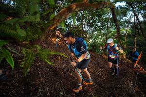 BIB: 
                            <button type="button" onclick="openModal(21871970)" class="btn btn-primary btn-sm float-right btn-popup" data-toggle="modal" data-target=".modal-high-quality">
                        <i class="fas fa-shopping-cart"></i> Add to Cart
                    </button>
                                            <button type="button" onclick="isThisMe(21871970, true)" class="btn btn-success btn-sm float-right btn-popup btn-isme hidden" data-toggle="tooltip" data-placement="bottom" title="นี่คือรูปของคุณใช่ไหม คลิกที่นี่เพื่อเอาเข้าอัลบั้ม">
                        <i class="fas fa-plus"></i> Add to album
                    </button>
                    <button type="button" onclick="isThisMe(21871970, false)" class="btn btn-warning btn-sm float-right btn-popup btn-isnotme hidden">
                        <i class="fas fa-ban"></i> Remove from album
                    </button>