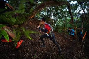 BIB: 
                            <button type="button" onclick="openModal(21866957)" class="btn btn-primary btn-sm float-right btn-popup" data-toggle="modal" data-target=".modal-high-quality">
                        <i class="fas fa-shopping-cart"></i> Add to Cart
                    </button>
                                            <button type="button" onclick="isThisMe(21866957, true)" class="btn btn-success btn-sm float-right btn-popup btn-isme hidden" data-toggle="tooltip" data-placement="bottom" title="นี่คือรูปของคุณใช่ไหม คลิกที่นี่เพื่อเอาเข้าอัลบั้ม">
                        <i class="fas fa-plus"></i> Add to album
                    </button>
                    <button type="button" onclick="isThisMe(21866957, false)" class="btn btn-warning btn-sm float-right btn-popup btn-isnotme hidden">
                        <i class="fas fa-ban"></i> Remove from album
                    </button>