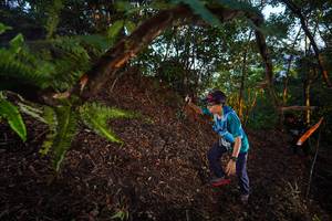 BIB: 
                            <button type="button" onclick="openModal(21865275)" class="btn btn-primary btn-sm float-right btn-popup" data-toggle="modal" data-target=".modal-high-quality">
                        <i class="fas fa-shopping-cart"></i> Add to Cart
                    </button>
                                            <button type="button" onclick="isThisMe(21865275, true)" class="btn btn-success btn-sm float-right btn-popup btn-isme hidden" data-toggle="tooltip" data-placement="bottom" title="นี่คือรูปของคุณใช่ไหม คลิกที่นี่เพื่อเอาเข้าอัลบั้ม">
                        <i class="fas fa-plus"></i> Add to album
                    </button>
                    <button type="button" onclick="isThisMe(21865275, false)" class="btn btn-warning btn-sm float-right btn-popup btn-isnotme hidden">
                        <i class="fas fa-ban"></i> Remove from album
                    </button>