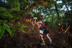 BIB: 2385
                            <button type="button" onclick="openModal(21872852)" class="btn btn-primary btn-sm float-right btn-popup" data-toggle="modal" data-target=".modal-high-quality">
                        <i class="fas fa-shopping-cart"></i> Add to Cart
                    </button>
                                            <button type="button" onclick="isThisMe(21872852, true)" class="btn btn-success btn-sm float-right btn-popup btn-isme hidden" data-toggle="tooltip" data-placement="bottom" title="นี่คือรูปของคุณใช่ไหม คลิกที่นี่เพื่อเอาเข้าอัลบั้ม">
                        <i class="fas fa-plus"></i> Add to album
                    </button>
                    <button type="button" onclick="isThisMe(21872852, false)" class="btn btn-warning btn-sm float-right btn-popup btn-isnotme hidden">
                        <i class="fas fa-ban"></i> Remove from album
                    </button>