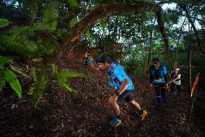 BIB: 
                            <button type="button" onclick="openModal(21866991)" class="btn btn-primary btn-sm float-right btn-popup" data-toggle="modal" data-target=".modal-high-quality">
                        <i class="fas fa-shopping-cart"></i> Add to Cart
                    </button>
                                            <button type="button" onclick="isThisMe(21866991, true)" class="btn btn-success btn-sm float-right btn-popup btn-isme hidden" data-toggle="tooltip" data-placement="bottom" title="นี่คือรูปของคุณใช่ไหม คลิกที่นี่เพื่อเอาเข้าอัลบั้ม">
                        <i class="fas fa-plus"></i> Add to album
                    </button>
                    <button type="button" onclick="isThisMe(21866991, false)" class="btn btn-warning btn-sm float-right btn-popup btn-isnotme hidden">
                        <i class="fas fa-ban"></i> Remove from album
                    </button>