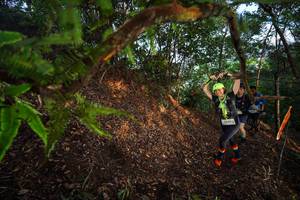 BIB: 
                            <button type="button" onclick="openModal(21873313)" class="btn btn-primary btn-sm float-right btn-popup" data-toggle="modal" data-target=".modal-high-quality">
                        <i class="fas fa-shopping-cart"></i> Add to Cart
                    </button>
                                            <button type="button" onclick="isThisMe(21873313, true)" class="btn btn-success btn-sm float-right btn-popup btn-isme hidden" data-toggle="tooltip" data-placement="bottom" title="นี่คือรูปของคุณใช่ไหม คลิกที่นี่เพื่อเอาเข้าอัลบั้ม">
                        <i class="fas fa-plus"></i> Add to album
                    </button>
                    <button type="button" onclick="isThisMe(21873313, false)" class="btn btn-warning btn-sm float-right btn-popup btn-isnotme hidden">
                        <i class="fas fa-ban"></i> Remove from album
                    </button>