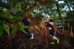 BIB: 187
                            <button type="button" onclick="openModal(21871724)" class="btn btn-primary btn-sm float-right btn-popup" data-toggle="modal" data-target=".modal-high-quality">
                        <i class="fas fa-shopping-cart"></i> Add to Cart
                    </button>
                                            <button type="button" onclick="isThisMe(21871724, true)" class="btn btn-success btn-sm float-right btn-popup btn-isme hidden" data-toggle="tooltip" data-placement="bottom" title="นี่คือรูปของคุณใช่ไหม คลิกที่นี่เพื่อเอาเข้าอัลบั้ม">
                        <i class="fas fa-plus"></i> Add to album
                    </button>
                    <button type="button" onclick="isThisMe(21871724, false)" class="btn btn-warning btn-sm float-right btn-popup btn-isnotme hidden">
                        <i class="fas fa-ban"></i> Remove from album
                    </button>