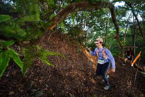 BIB: 2071
                            <button type="button" onclick="openModal(21877050)" class="btn btn-primary btn-sm float-right btn-popup" data-toggle="modal" data-target=".modal-high-quality">
                        <i class="fas fa-shopping-cart"></i> Add to Cart
                    </button>
                                            <button type="button" onclick="isThisMe(21877050, true)" class="btn btn-success btn-sm float-right btn-popup btn-isme hidden" data-toggle="tooltip" data-placement="bottom" title="นี่คือรูปของคุณใช่ไหม คลิกที่นี่เพื่อเอาเข้าอัลบั้ม">
                        <i class="fas fa-plus"></i> Add to album
                    </button>
                    <button type="button" onclick="isThisMe(21877050, false)" class="btn btn-warning btn-sm float-right btn-popup btn-isnotme hidden">
                        <i class="fas fa-ban"></i> Remove from album
                    </button>