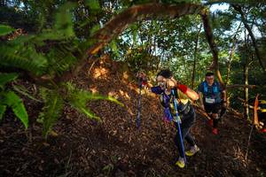 BIB: 
                            <button type="button" onclick="openModal(21871219)" class="btn btn-primary btn-sm float-right btn-popup" data-toggle="modal" data-target=".modal-high-quality">
                        <i class="fas fa-shopping-cart"></i> Add to Cart
                    </button>
                                            <button type="button" onclick="isThisMe(21871219, true)" class="btn btn-success btn-sm float-right btn-popup btn-isme hidden" data-toggle="tooltip" data-placement="bottom" title="นี่คือรูปของคุณใช่ไหม คลิกที่นี่เพื่อเอาเข้าอัลบั้ม">
                        <i class="fas fa-plus"></i> Add to album
                    </button>
                    <button type="button" onclick="isThisMe(21871219, false)" class="btn btn-warning btn-sm float-right btn-popup btn-isnotme hidden">
                        <i class="fas fa-ban"></i> Remove from album
                    </button>